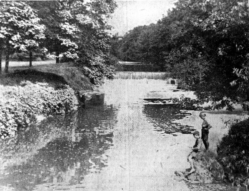 High Summer Darfield